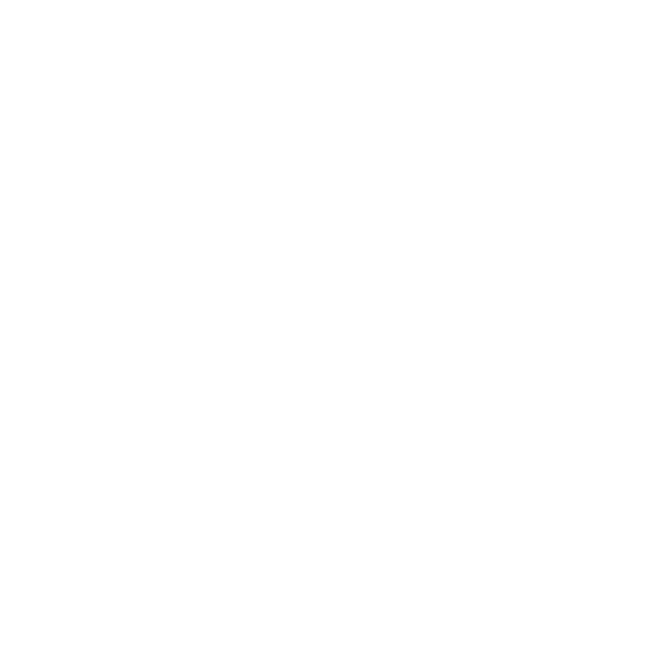 Eco-Friendly & Cruelty-Free