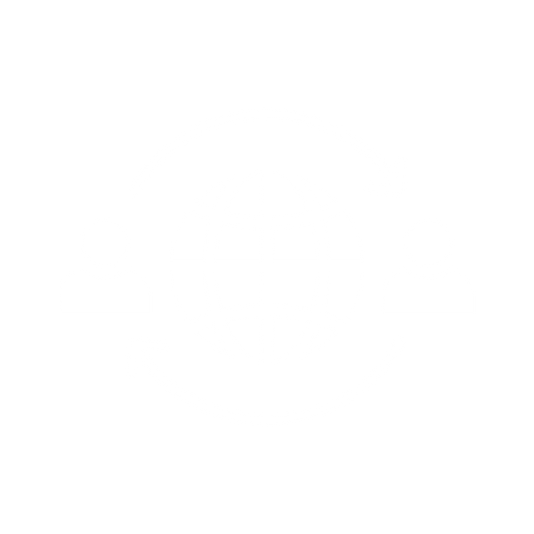 Dedicated B2B Support